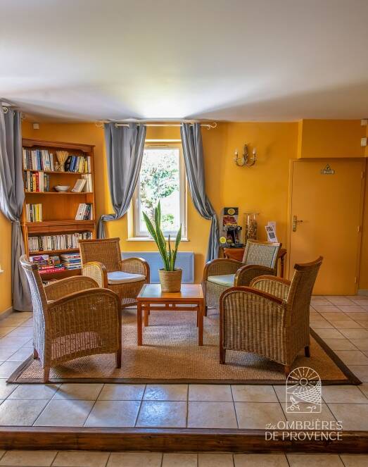 Tapis de sol en coco salon