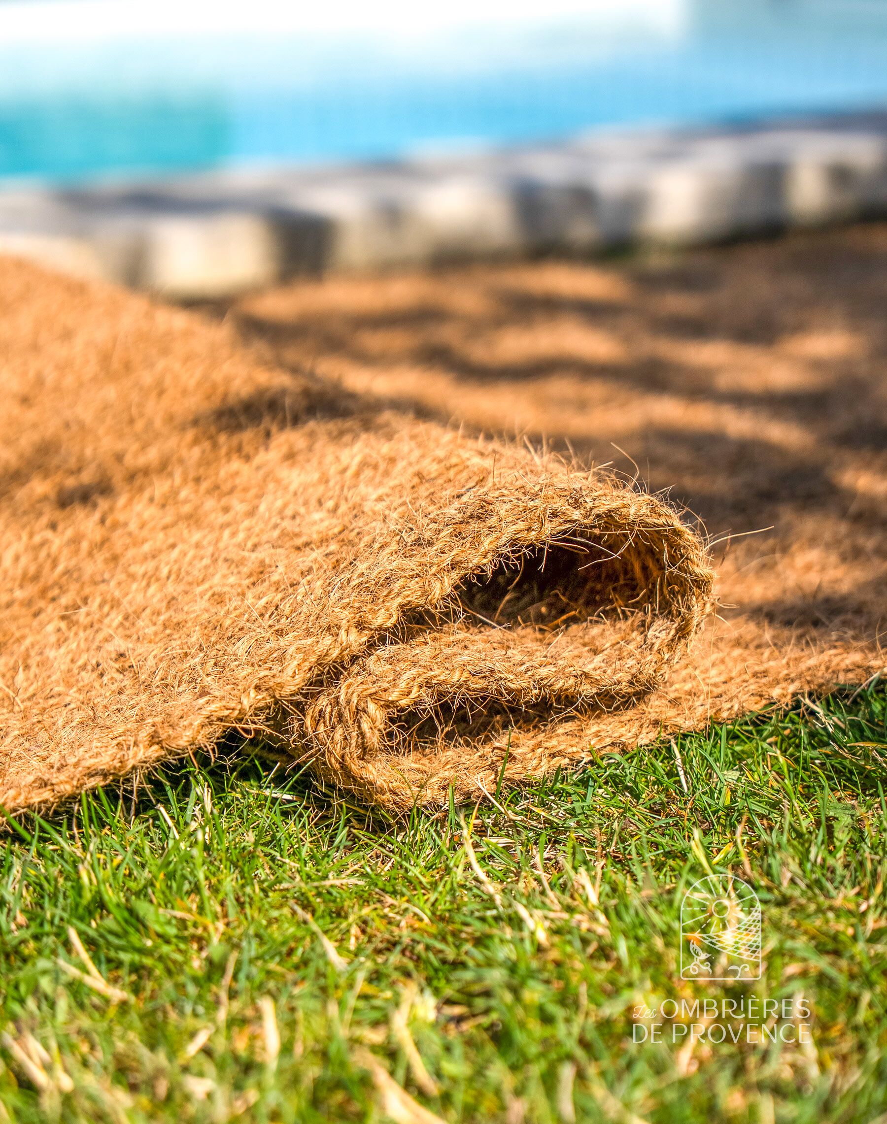 Chemin en coco pur plage zoom