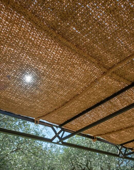 Filtrage soleil Coco Robusta