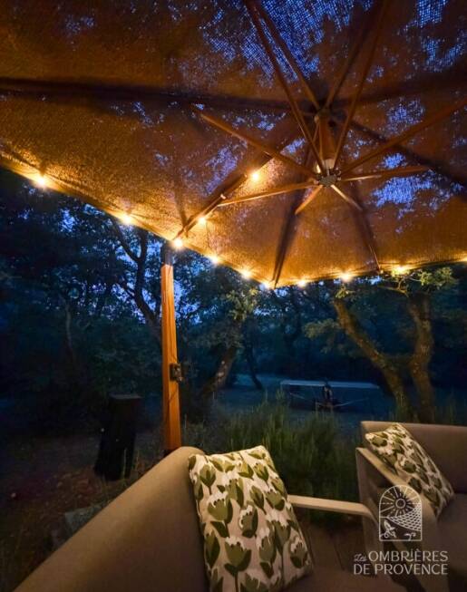 6-Guirlande lumineuse ambiance