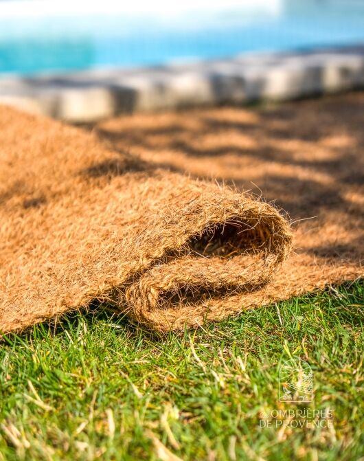 Chemin en coco pur plage zoom